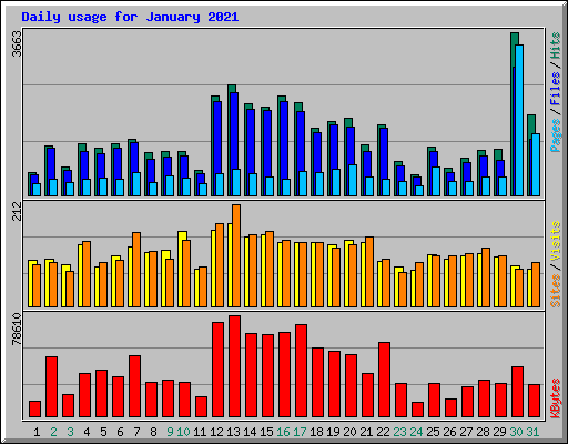 Daily usage for January 2021