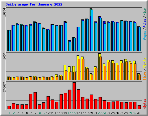 Daily usage for January 2022