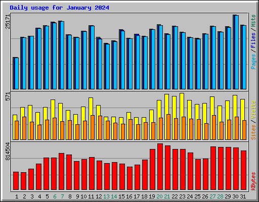 Daily usage for January 2024