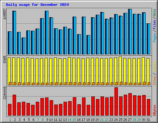 Daily usage for December 2024