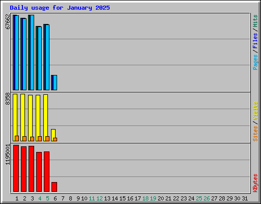 Daily usage for January 2025