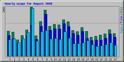 Hourly usage for August 2020