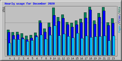 Hourly usage for December 2020