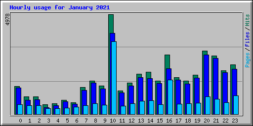 Hourly usage for January 2021