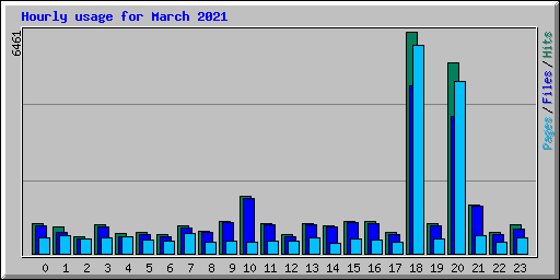 Hourly usage for March 2021