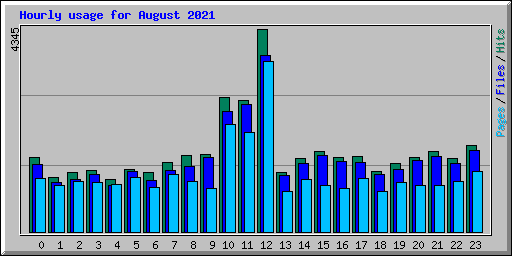 Hourly usage for August 2021