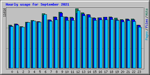 Hourly usage for September 2021