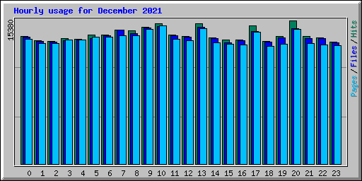 Hourly usage for December 2021