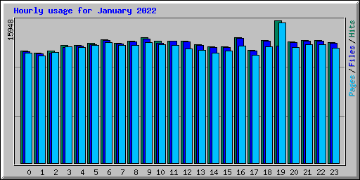 Hourly usage for January 2022