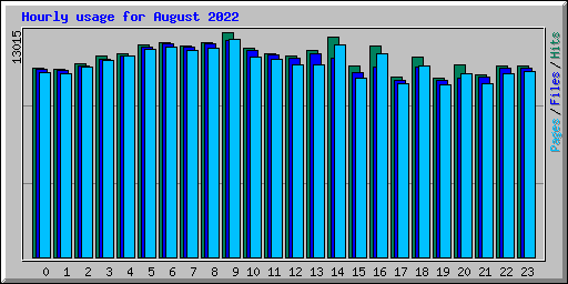 Hourly usage for August 2022