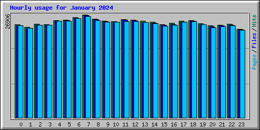 Hourly usage for January 2024