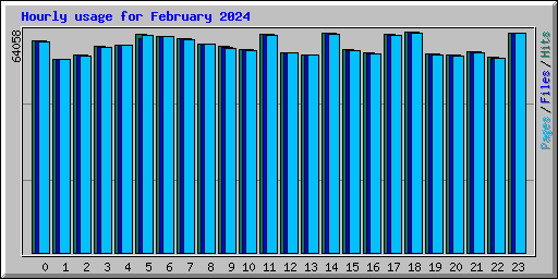 Hourly usage for February 2024