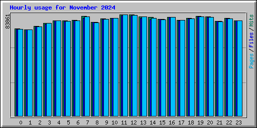 Hourly usage for November 2024