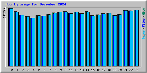 Hourly usage for December 2024