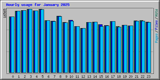 Hourly usage for January 2025