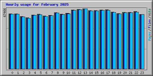 Hourly usage for February 2025