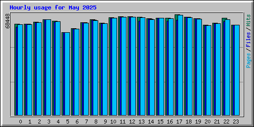 Hourly usage for May 2025