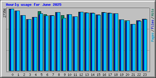 Hourly usage for June 2025