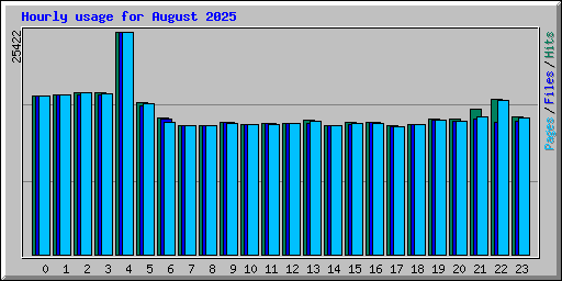 Hourly usage for August 2025