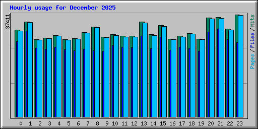 Hourly usage for December 2025