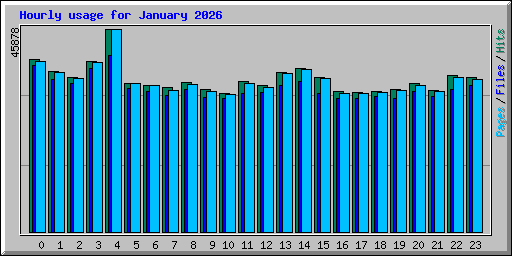 Hourly usage for January 2026