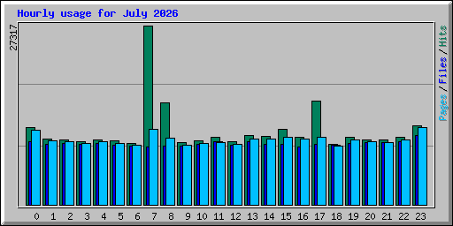 Hourly usage for July 2026