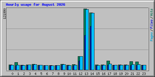 Hourly usage for August 2026